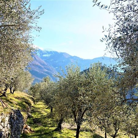 Chalet Laghel Арко Екстериор снимка
